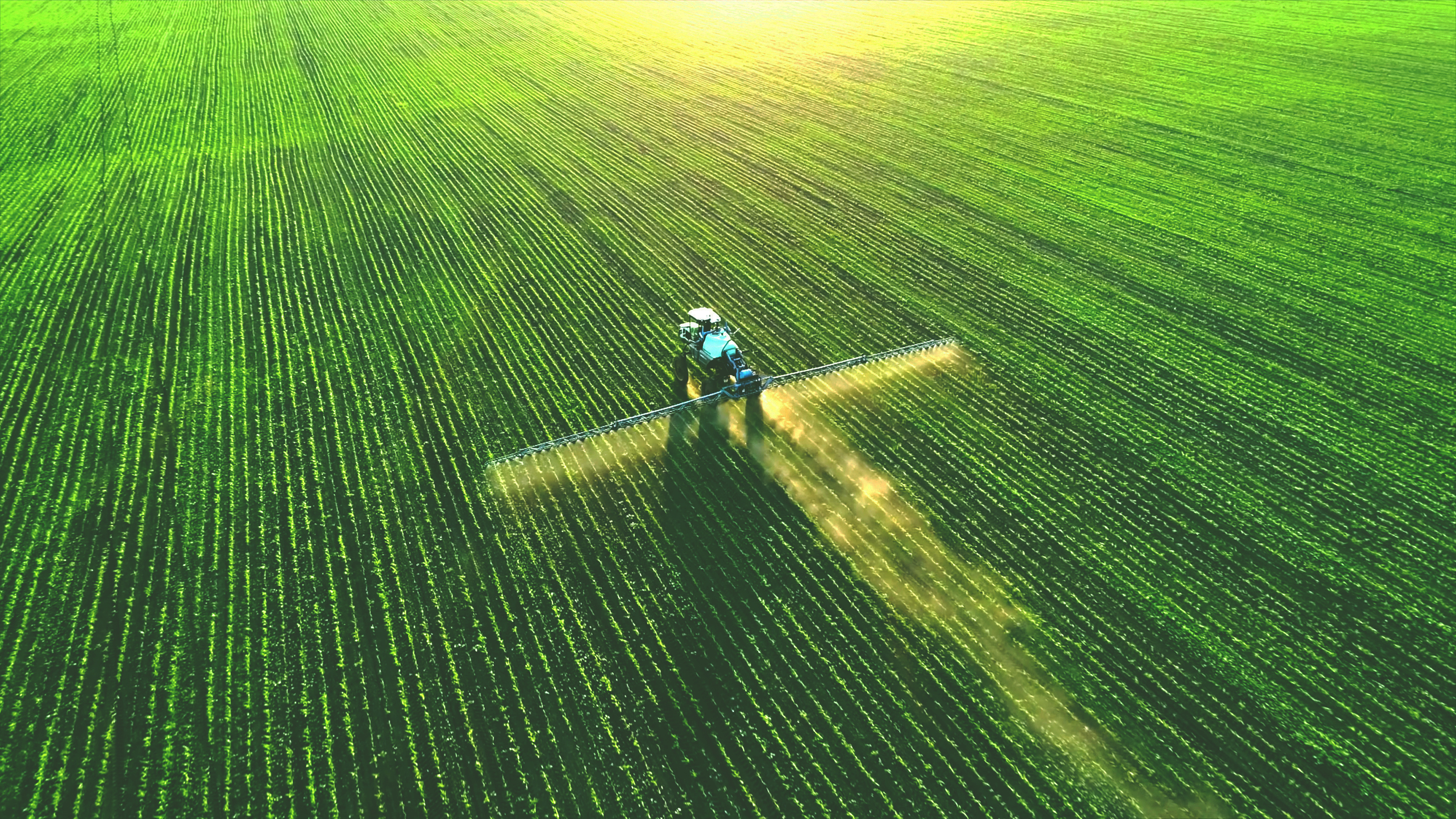 L’IA per il controllo delle infestanti nella difesa chimica e meccanica 1