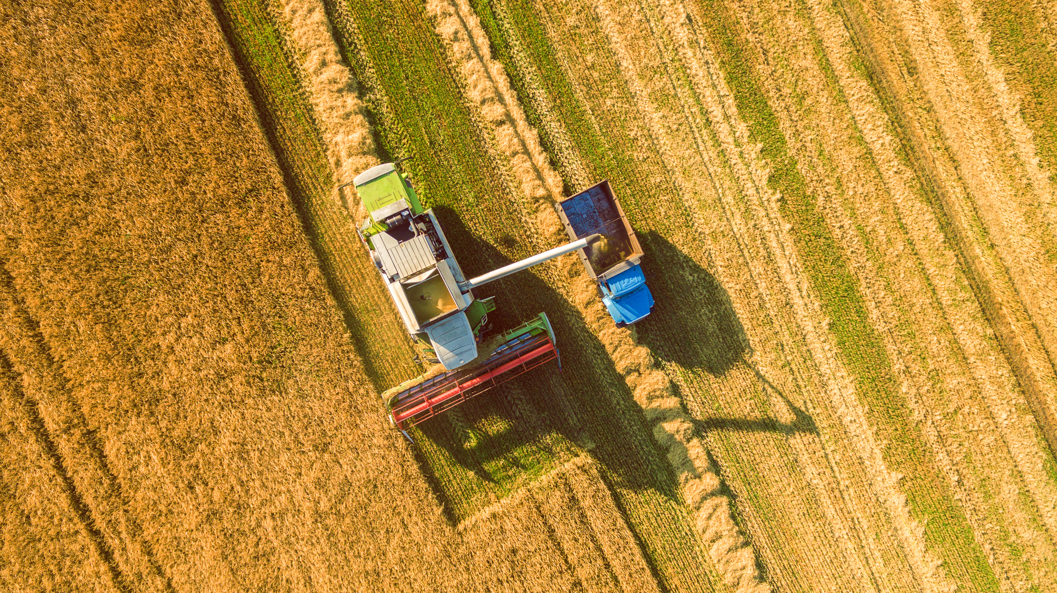 IA, satelliti spaziali e agricoltura: il futuro del raccolto visto dall’alto