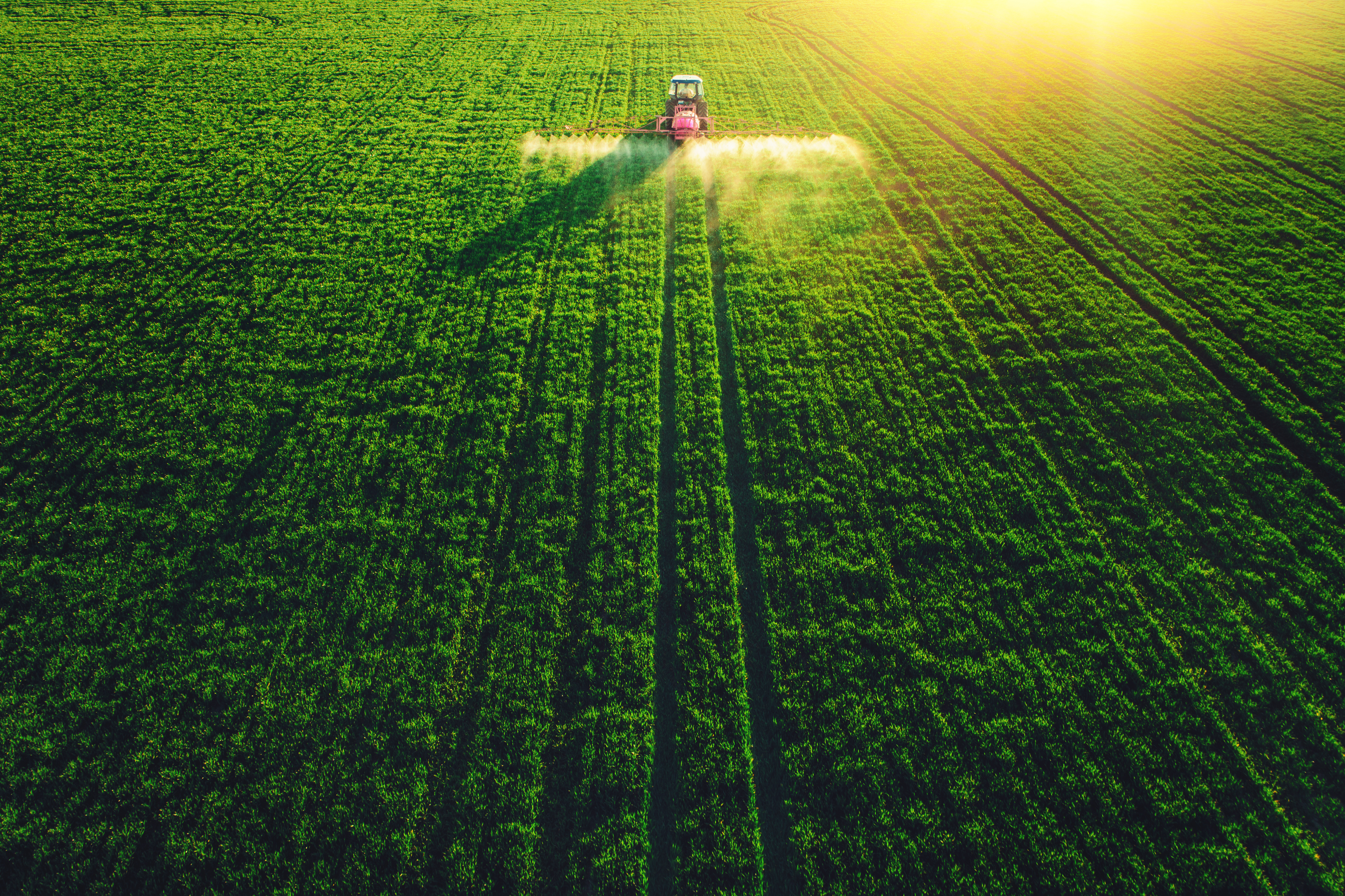 IA, satelliti spaziali e agricoltura: il futuro del raccolto visto dall’alto 1