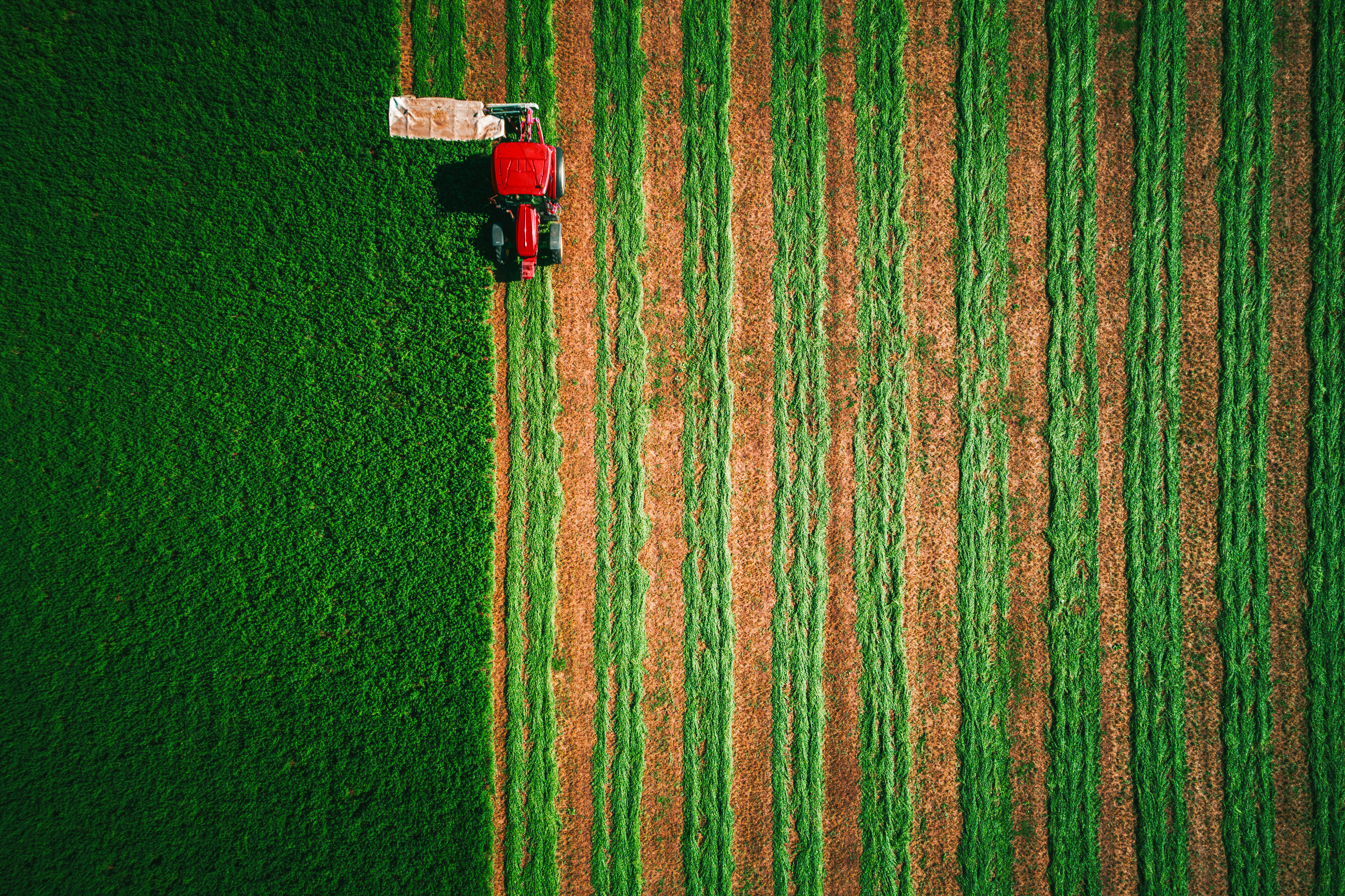 Biogas Italia ed Europa 2025-2035: come sta cambiando 1